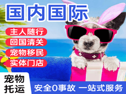 柳州白莲空运公司国际宠物托运 【国